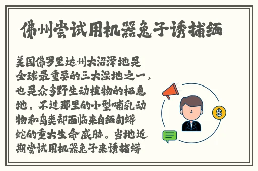 欧美Xb一bbb