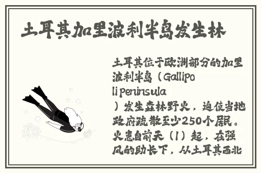 51热门大瓜黑料反差婊